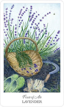Load image into Gallery viewer, The Herbcrafter’s Tarot