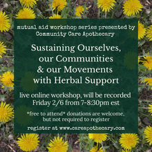 Load image into Gallery viewer, Herbal Community Care - Online Mutual Aid Workshop