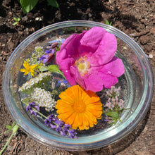 Load image into Gallery viewer, Be True To You Flower Essence
