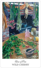 Load image into Gallery viewer, The Herbcrafter’s Tarot