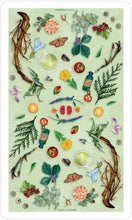 Load image into Gallery viewer, The Herbcrafter’s Tarot