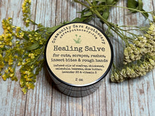 Load image into Gallery viewer, Healing Salve
