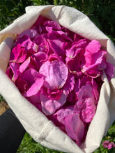 Load image into Gallery viewer, Rose Glycerite