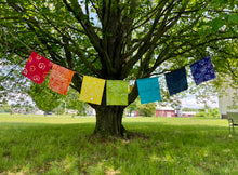 Load image into Gallery viewer, Rainbow Garden Flags