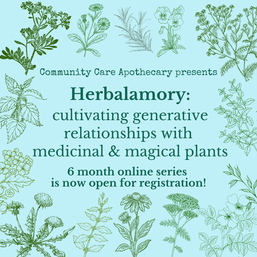 Online class - Herbalamory: cultivating generative relationships with medicinal & magical plants