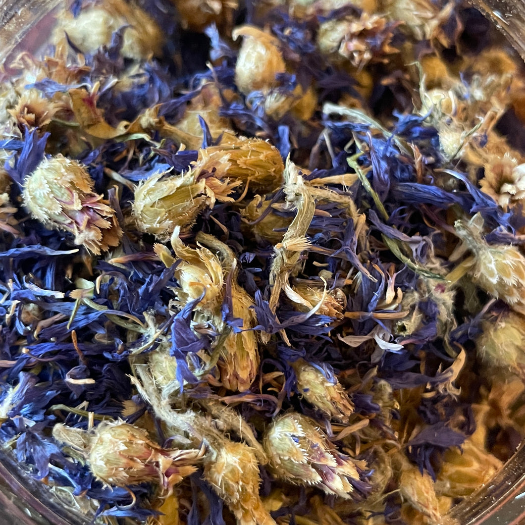 Cornflower