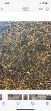 Load image into Gallery viewer, Post-Op Support Herbal Tea
